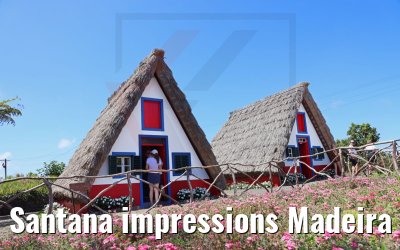 Santana impressions Madeira