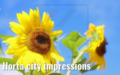 Horta city impressions