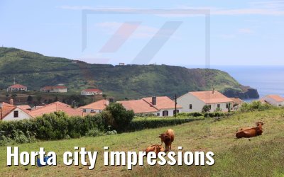 Horta city impressions