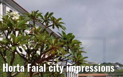 Horta Faial city impressions