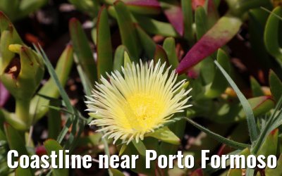 Coastline near Porto Formoso