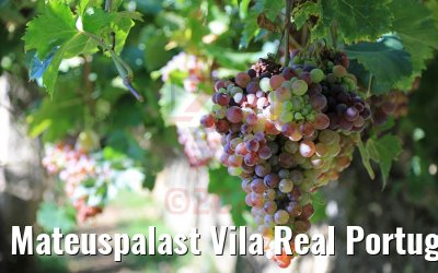 Mateuspalast Vila Real Portugal 27.09.2020