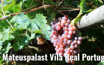 Mateuspalast Vila Real Portugal 27.09.2020