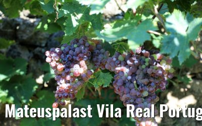 Mateuspalast Vila Real Portugal 27.09.2020