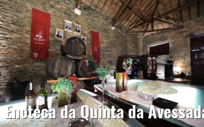 Enoteca da Quinta da Avessada, Portugal 28.09.2020