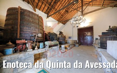 Enoteca da Quinta da Avessada, Portugal 28.09.2020