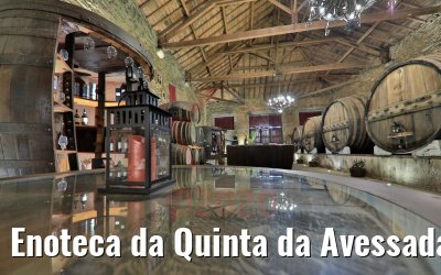 Enoteca da Quinta da Avessada, Portugal 28.09.2020