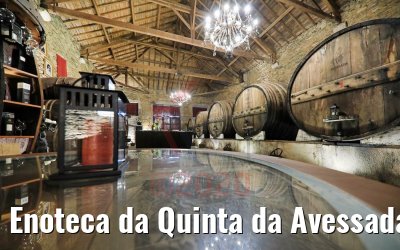 Enoteca da Quinta da Avessada, Portugal 28.09.2020
