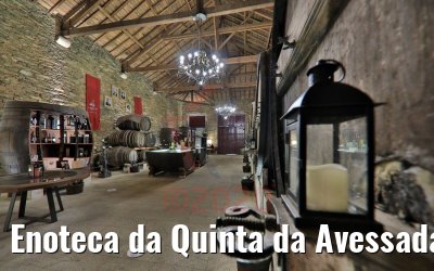 Enoteca da Quinta da Avessada, Portugal 28.09.2020