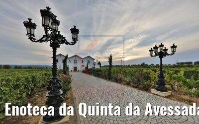 Enoteca da Quinta da Avessada, Portugal 28.09.2020