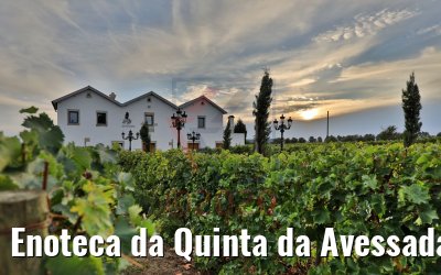 Enoteca da Quinta da Avessada, Portugal 28.09.2020