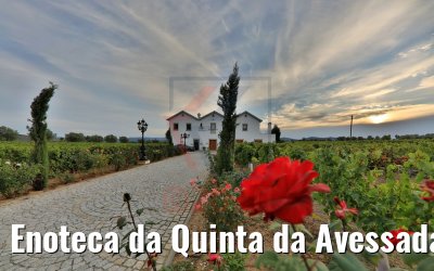 Enoteca da Quinta da Avessada, Portugal 28.09.2020