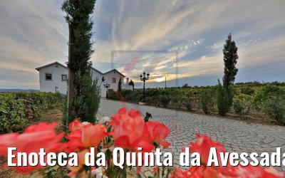 Enoteca da Quinta da Avessada, Portugal 28.09.2020