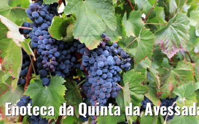 Enoteca da Quinta da Avessada, Portugal 28.09.2020