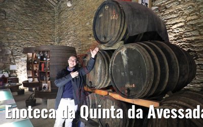Enoteca da Quinta da Avessada, Portugal 28.09.2020