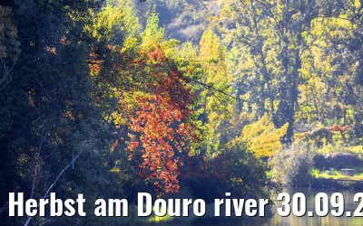 Herbst am Douro river 30.09.2020