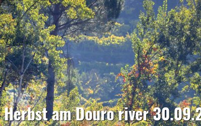 Herbst am Douro river 30.09.2020