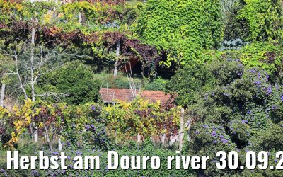 Herbst am Douro river 30.09.2020
