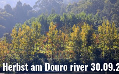 Herbst am Douro river 30.09.2020