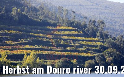 Herbst am Douro river 30.09.2020