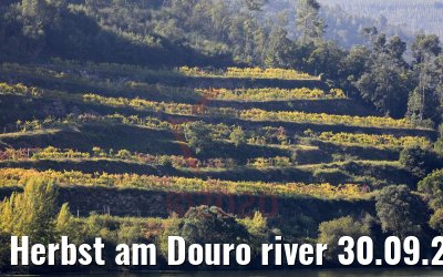 Herbst am Douro river 30.09.2020