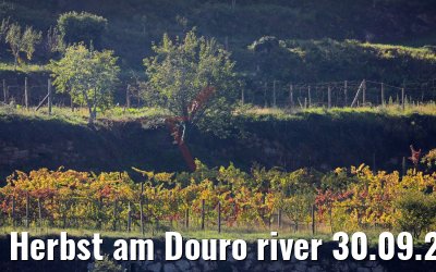 Herbst am Douro river 30.09.2020