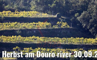 Herbst am Douro river 30.09.2020