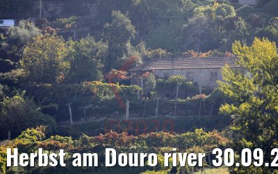 Herbst am Douro river 30.09.2020