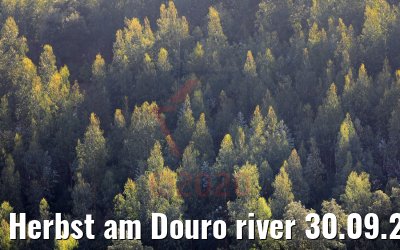 Herbst am Douro river 30.09.2020