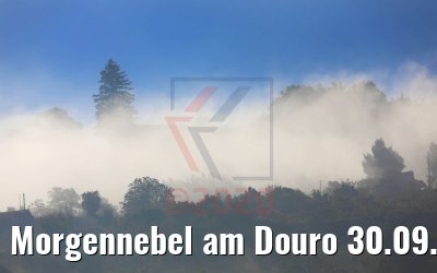 Morgennebel am Douro 30.09.2020