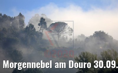 Morgennebel am Douro 30.09.2020