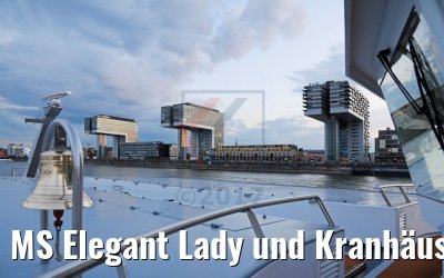 MS Elegant Lady und Kranhäuser Köln 09.08.2017