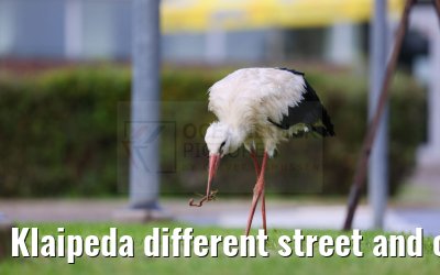 Klaipeda different street and city impressions 31.08.2024