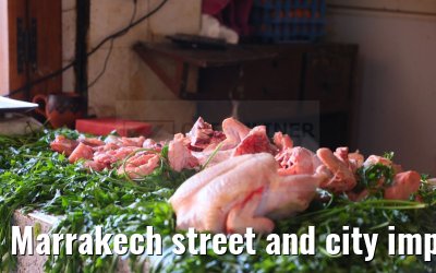 Marrakech street and city impressions 26.02.2025