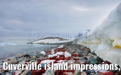 Cuverville island impressions, Antarctica 23.01.2023