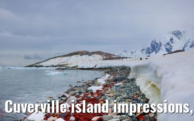 Cuverville island impressions, Antarctica 23.01.2023