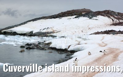 Cuverville island impressions, Antarctica 23.01.2023