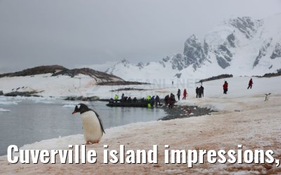 Cuverville island impressions, Antarctica 23.01.2023