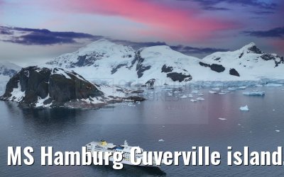 MS Hamburg Cuverville island, Antarctica 23.01.2023