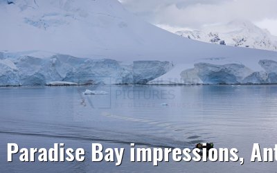 Paradise Bay impressions, Antarctica 23.01.2023