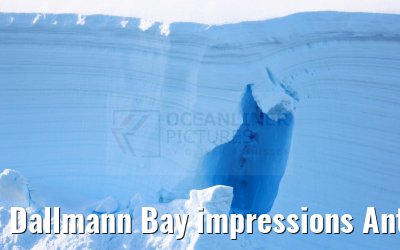Dallmann Bay impressions Antarctica 10.01.2023