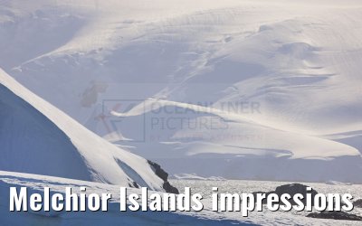 Melchior Islands impressions Antarctica 10.01.2023