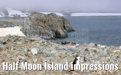 Half Moon Island impressions Antarctica 09.01.2023