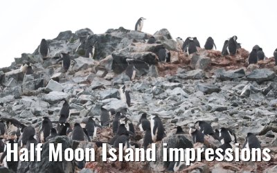 Half Moon Island impressions Antarctica 09.01.2023