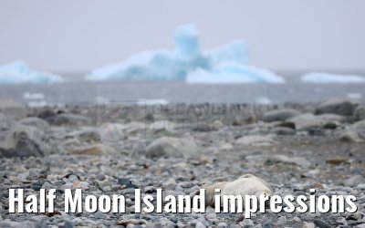 Half Moon Island impressions Antarctica 09.01.2023