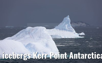 icebergs Kerr Point Antarctica 22.01.2023