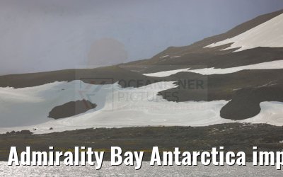 Admirality Bay Antarctica impressions 08.01.2023