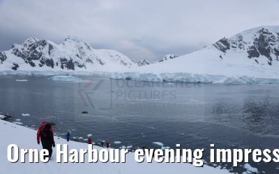 Orne Harbour evening impressions, Antarctica 22.01.2023