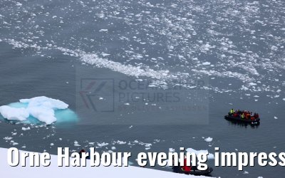 Orne Harbour evening impressions, Antarctica 22.01.2023