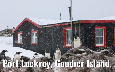 Port Lockroy, Goudier Island, Antarctica 11.01.2023